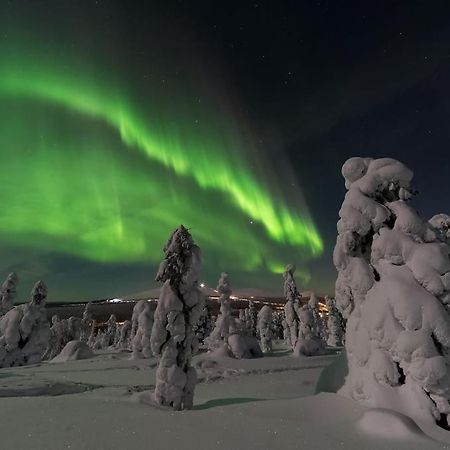 Nordic Lights Loft - Cozy Studio In The Centrum Rovaniemi Dış mekan fotoğraf