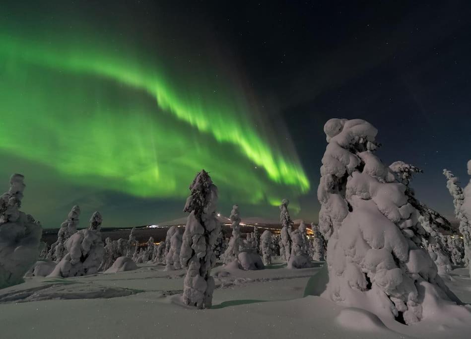 Nordic Lights Loft - Cozy Studio In The Centrum Rovaniemi Dış mekan fotoğraf
